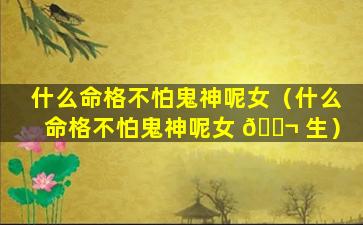 什么命格不怕鬼神呢女（什么命格不怕鬼神呢女 🐬 生）
